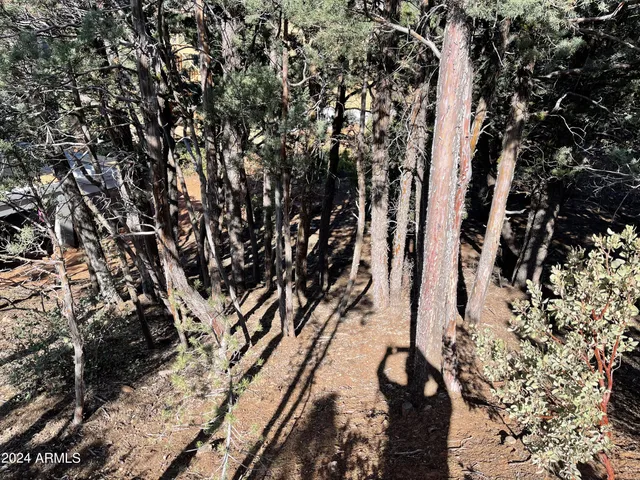 $90,000 | 9 Lodgepole Circle, Unit 9, Pine, AZ 85544