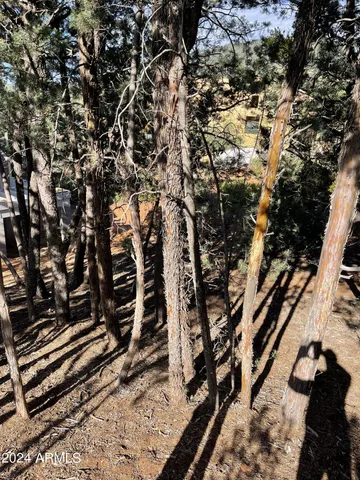 $90,000 | 9 Lodgepole Circle, Unit 9, Pine, AZ 85544