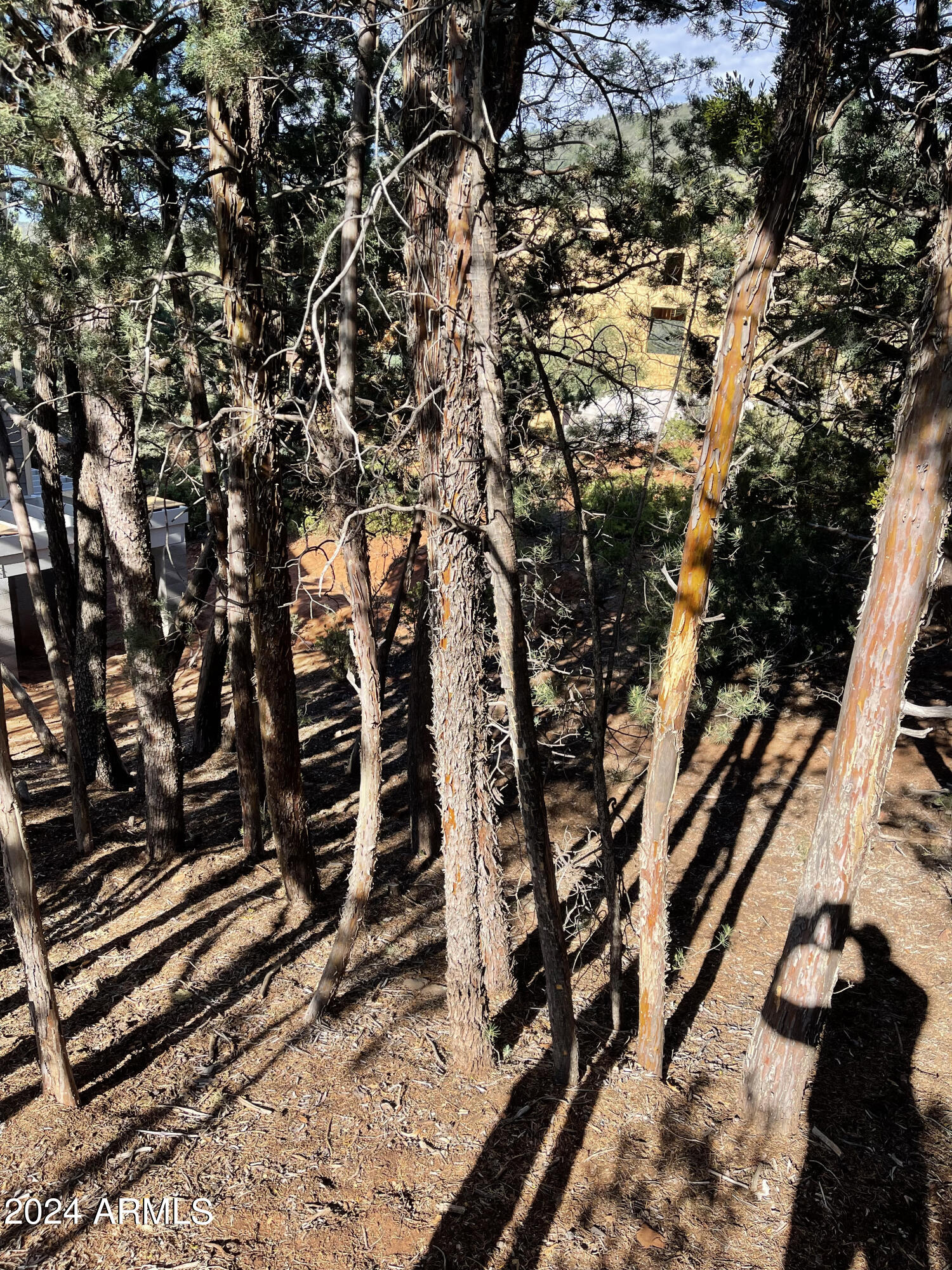 9 Lodgepole Circle, Unit 9 Pine, AZ 85544 - Photo 3 of 7 a view of a tree