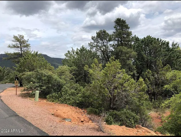 $90,000 | 9 Lodgepole Circle, Unit 9, Pine, AZ 85544