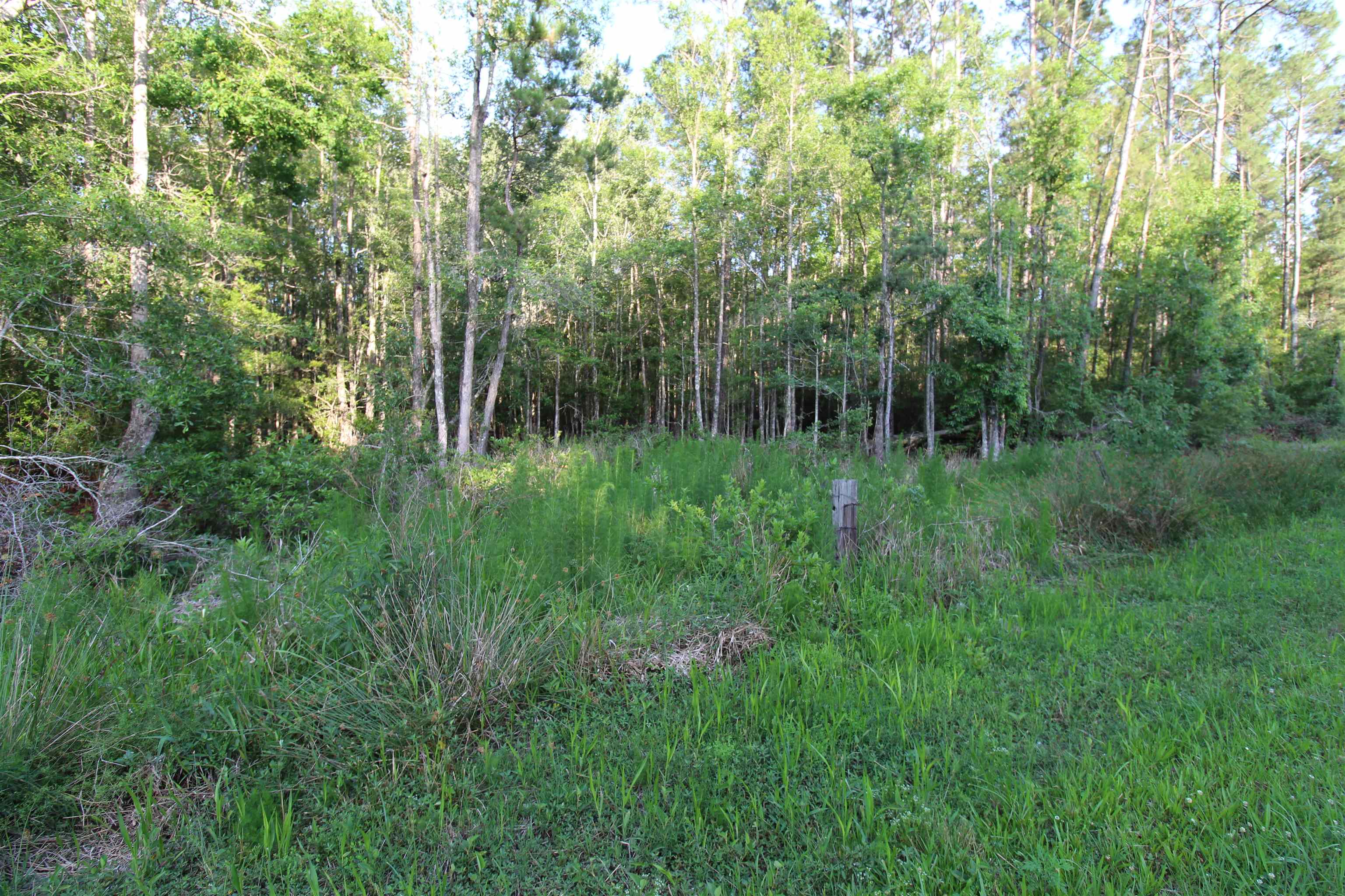 Tbd South Salt Road Monticello, FL 32344 - Photo 11 of 18