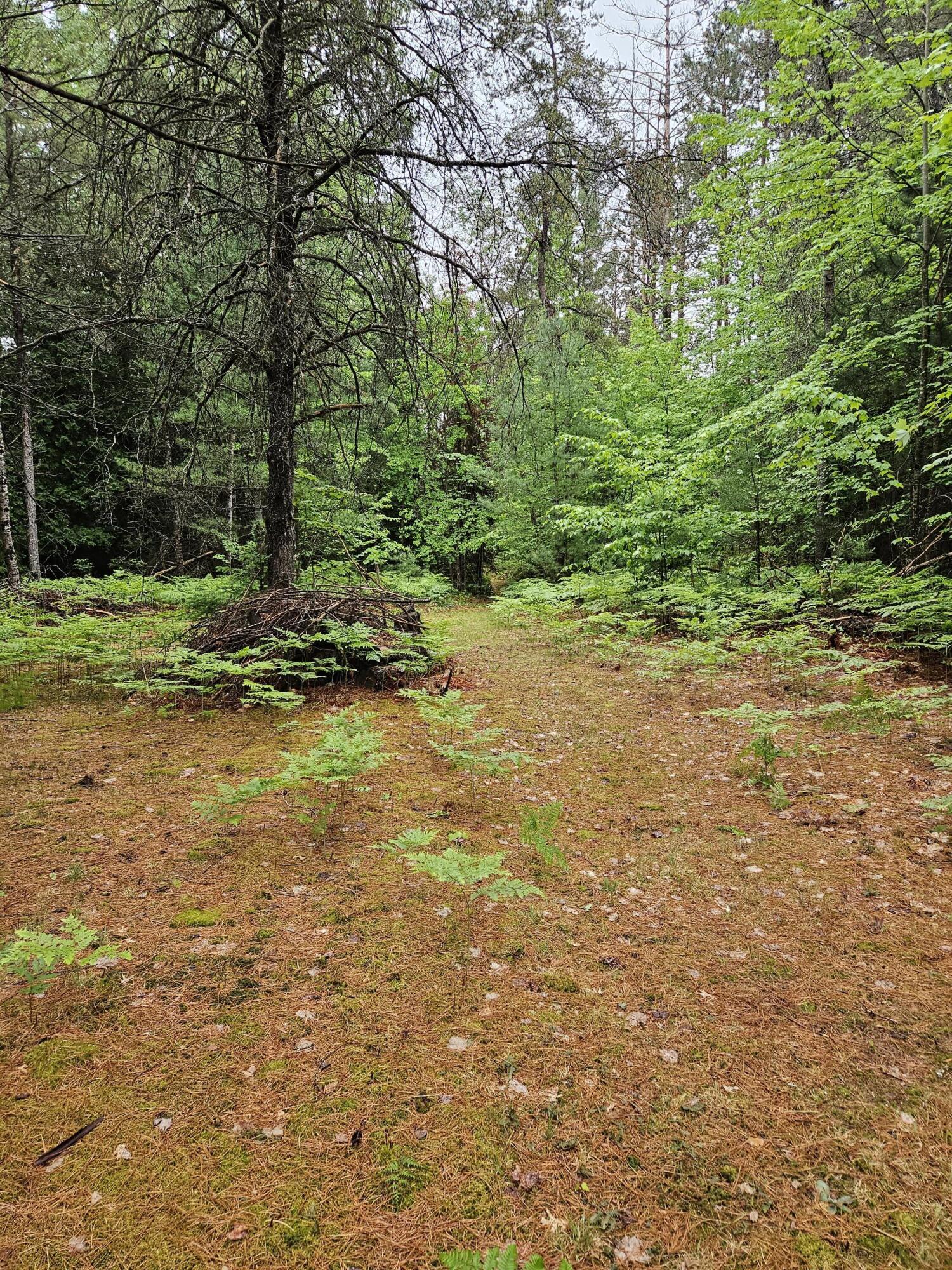 12343 Coster Road Southwest Fife Lake, MI 49633 - Photo 2 of 6 20230611_132229