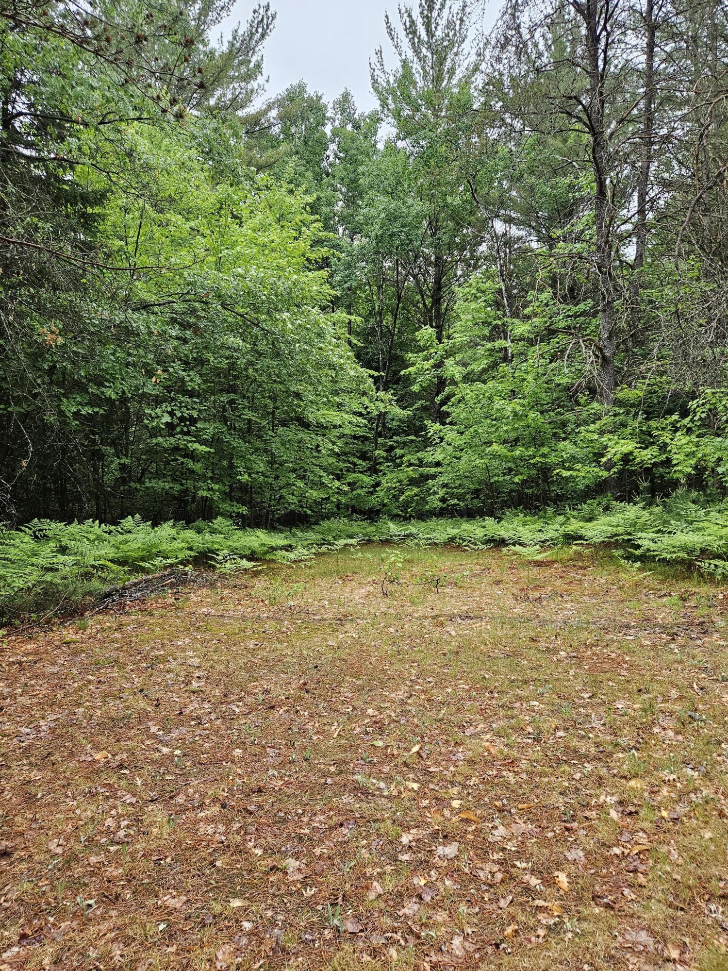 12343 Coster Road Southwest Fife Lake, MI 49633 - Photo 5 of 6 20230611_132306