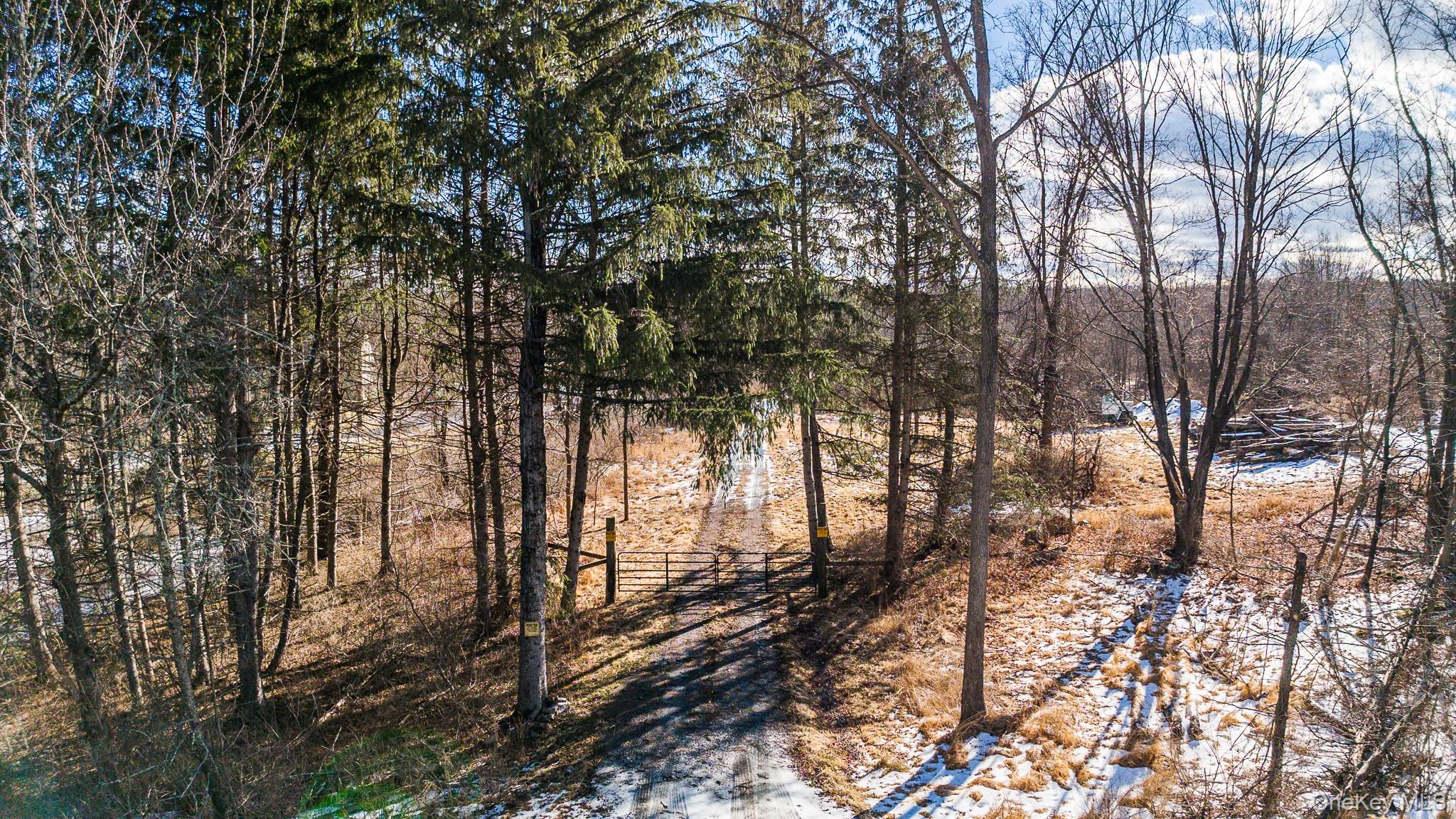 64 Seaman Road Circleville, NY 10919 - Photo 23 of 24 Drive way
