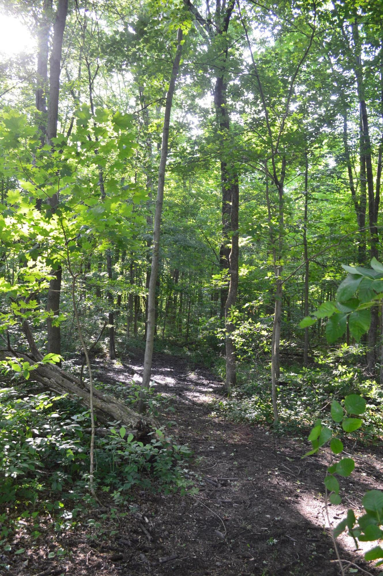 4060 Courter Road Southwest Pataskala, OH 43062 - Photo 15 of 28