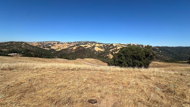 a view of a dry yard with trees