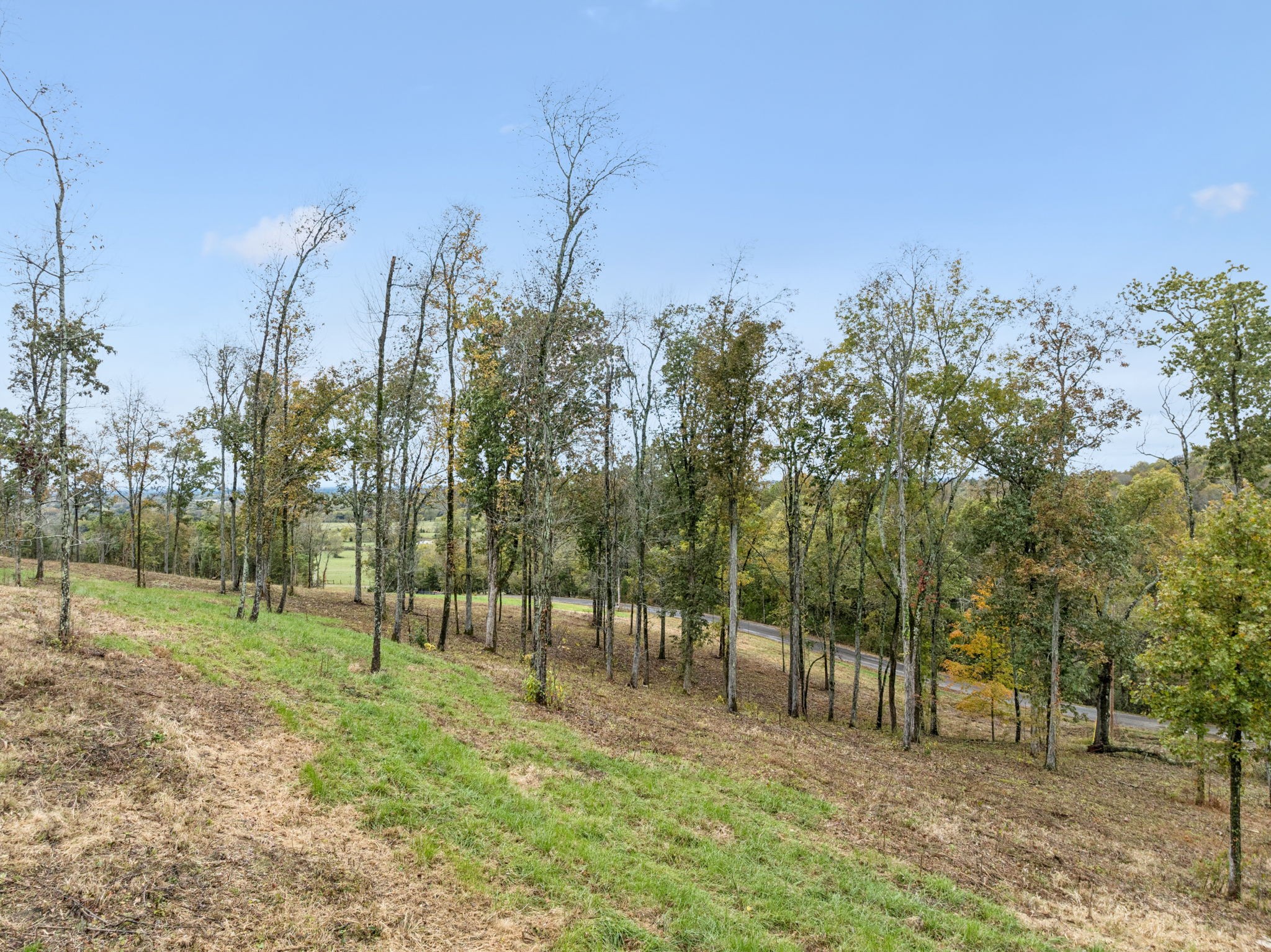 0 Coop Road Bell Buckle, TN 37020 - Photo 11 of 19