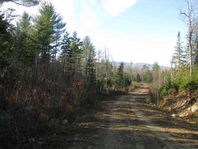 0 Carthage Road Carthage, ME 04224 - Photo 25 of 31 Photo