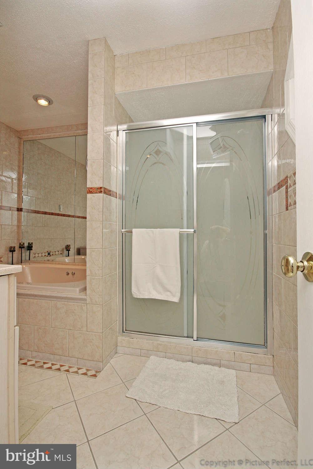 5192 Perry Road Mount Airy, MD 21771 - Photo 22 of 30 Bath (Master)