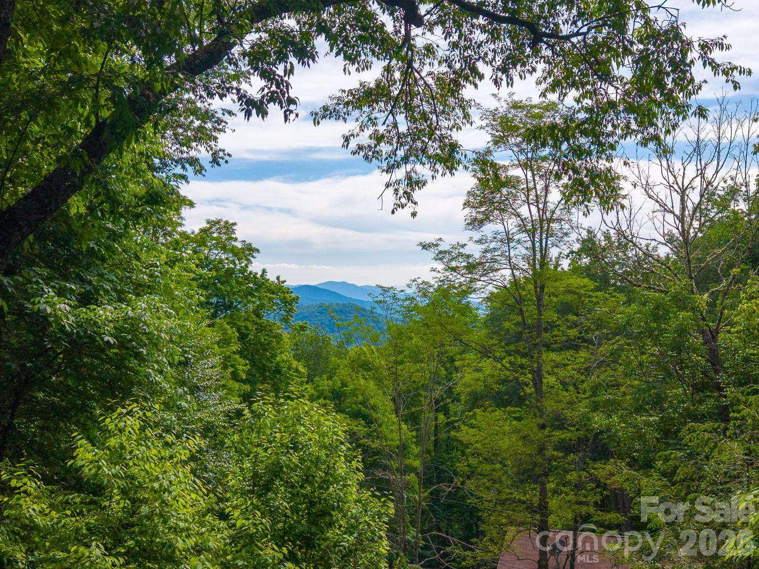903 Plott Balsam Road Maggie Valley, NC 28751 - Photo 19 of 22