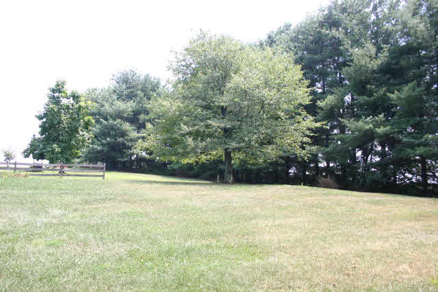 299 Hotchkiss Road Churchville, VA 24421 - Photo 12 of 21 Gallery Image 12