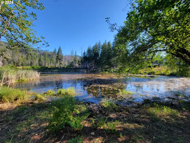 $74,900 | 54432 McKenzie Highway, Unit 9, Blue River, OR 97413