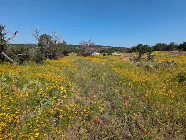 a view of lake and mountain