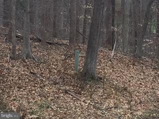 Mill Run Road Warrenton, VA 20187 - Photo 3 of 5 View