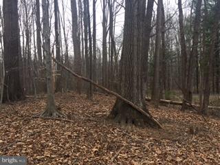 Mill Run Road Warrenton, VA 20187 - Photo 5 of 5 View