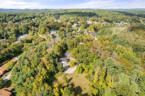 a view of a yard with a tree