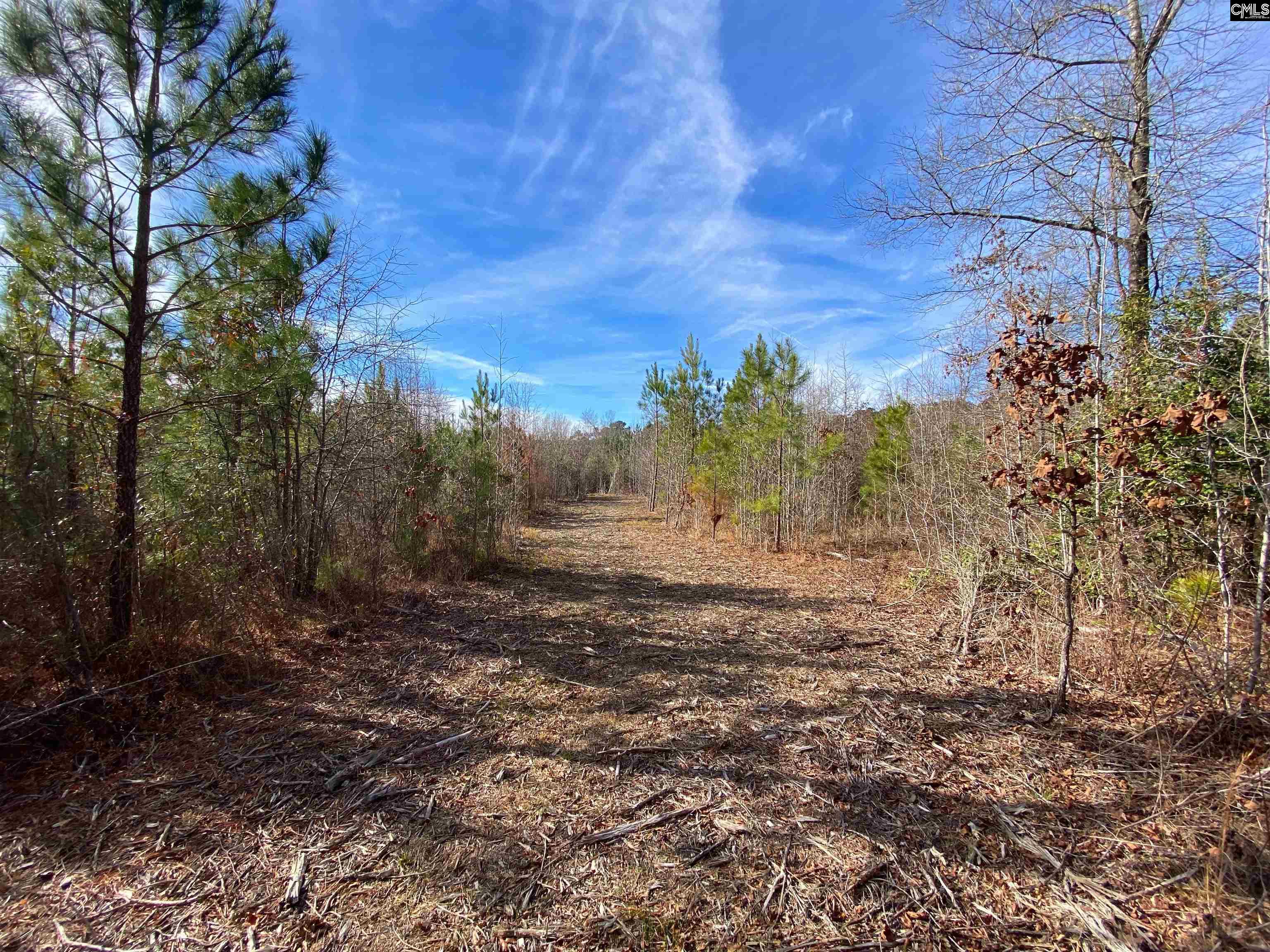 900 Pineywood Road Saluda, SC 29138 - Photo 14 of 23