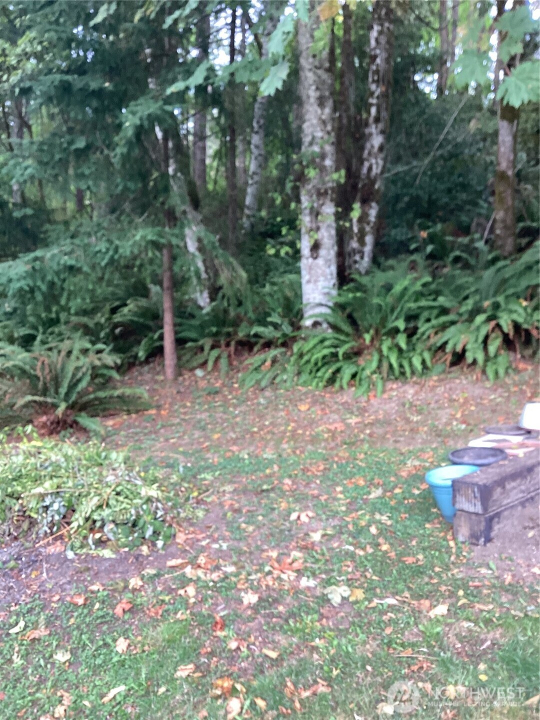 a backyard of a house with lots of green space
