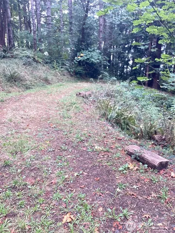 a view of backyard with green space