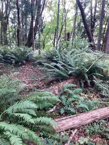 a view of outdoor space and garden