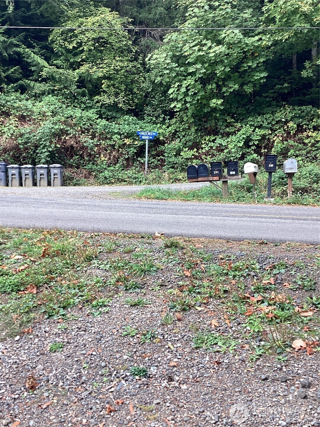 21-xx Southeast Bloomfield Road Shelton, WA 98584 - Photo 8 of 9 a view of a yard with a tree