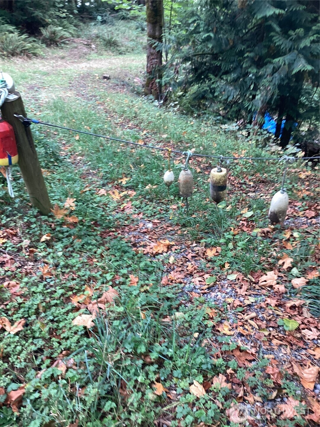 21-xx Southeast Bloomfield Road Shelton, WA 98584 - Photo 9 of 9 a backyard of a house with lots of green space and trees all around