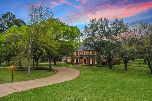 a view of a park with large trees