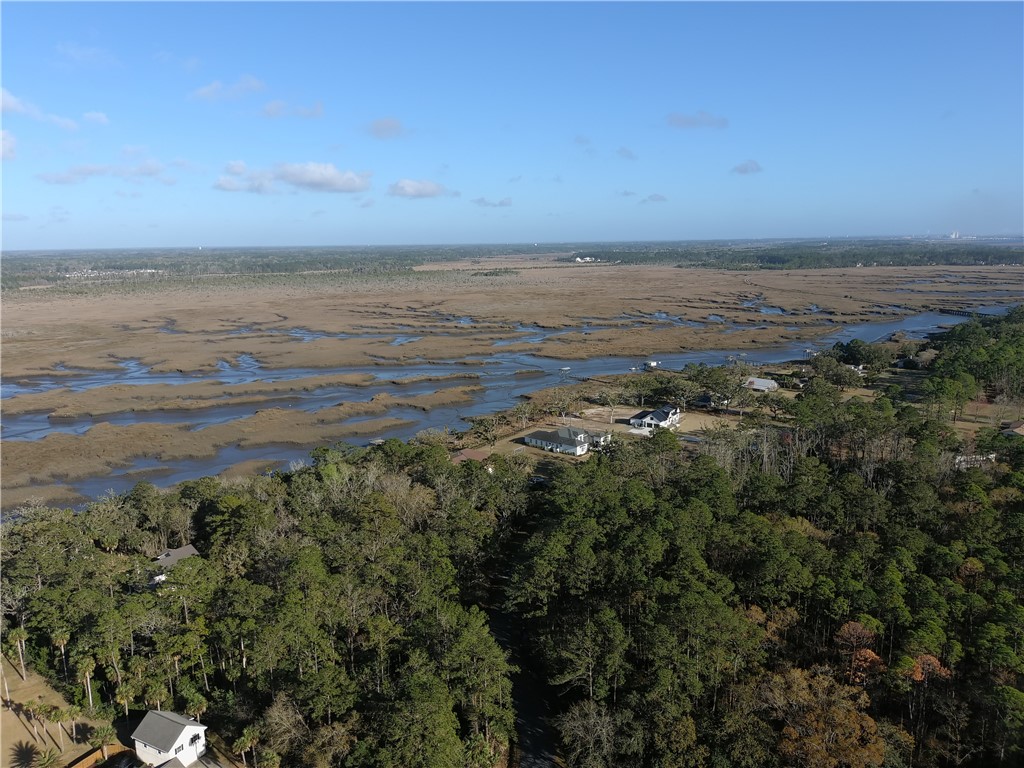 154 Buffalo Road Brunswick, GA 31523 - Photo 59 of 60
