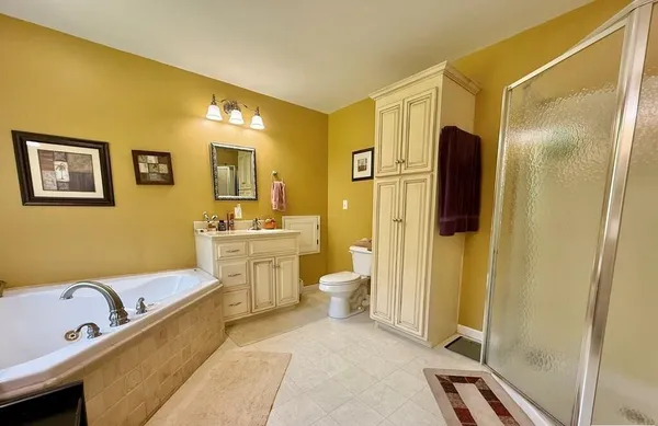 a bathroom with a tub sink toilet and mirror