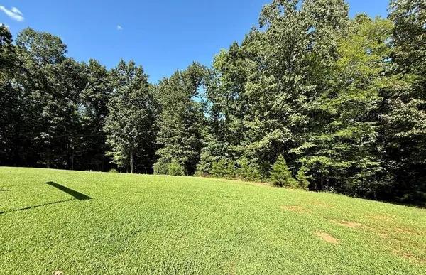 a view of a field with trees in the background