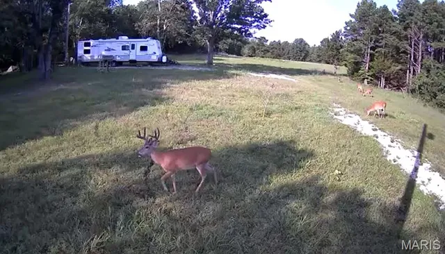 $848,000 | 0 County Road 2590, Lenox, MO 65541