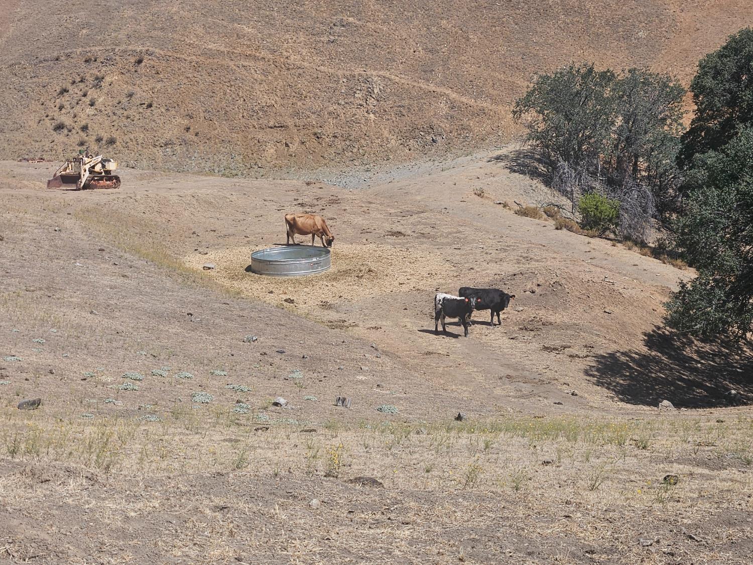 0 Mines Road Livermore, CA 94550 - Photo 21 of 25 Gallery Image 21