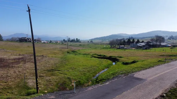 a view of a road with a tree in the background