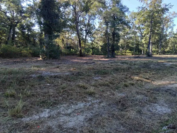 $1,600,000 | Lot 90 Coastal Highway, Crawfordville, FL 32327