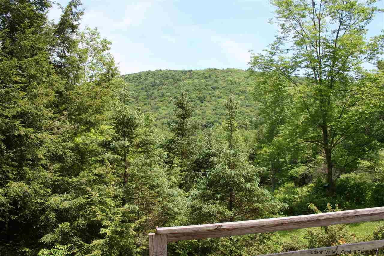 210 Amato Road Colchester, NY 13755 - Photo 2 of 14 Photo 2