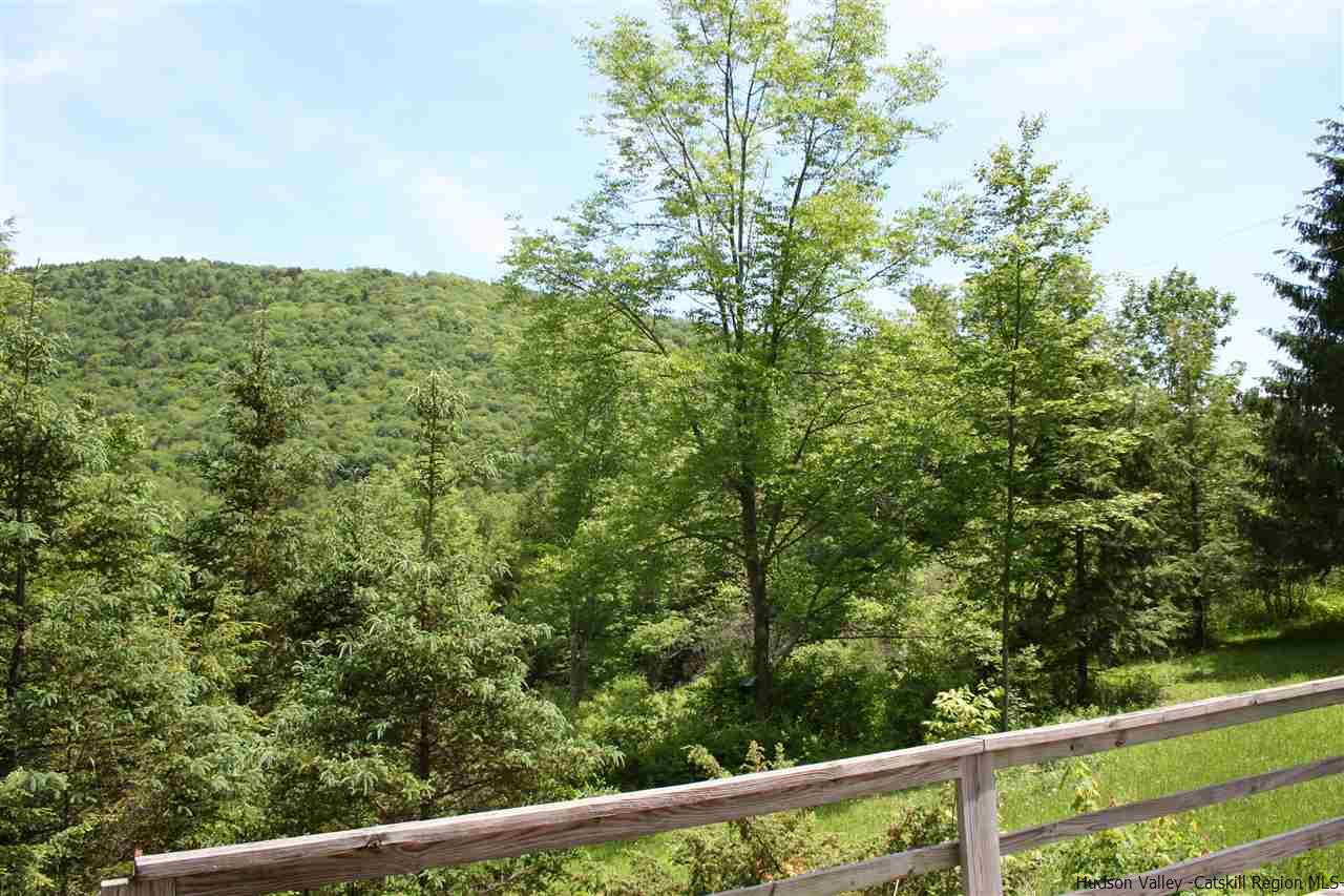 210 Amato Road Colchester, NY 13755 - Photo 3 of 14 Photo 3