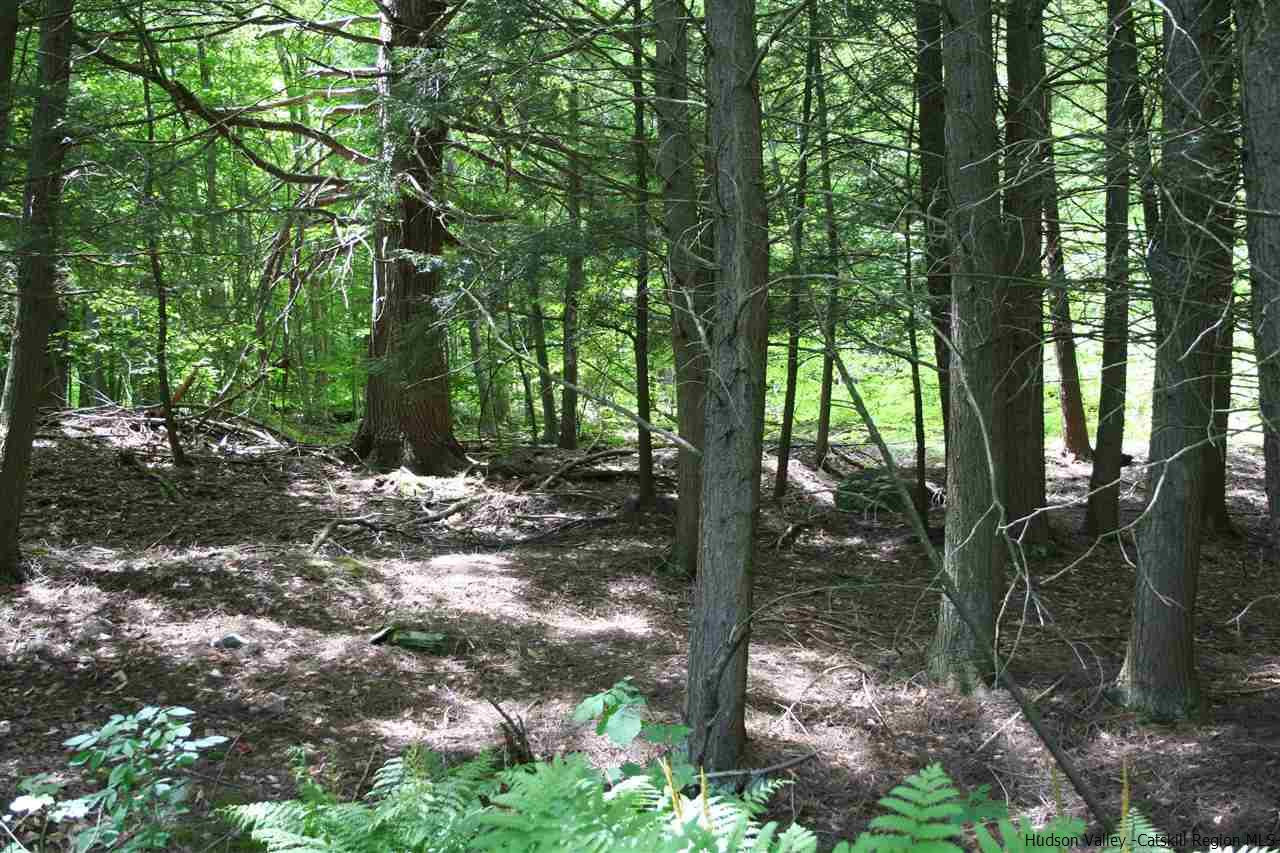210 Amato Road Colchester, NY 13755 - Photo 4 of 14 Photo 4
