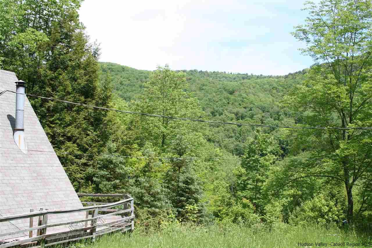 210 Amato Road Colchester, NY 13755 - Photo 7 of 14 Photo 8