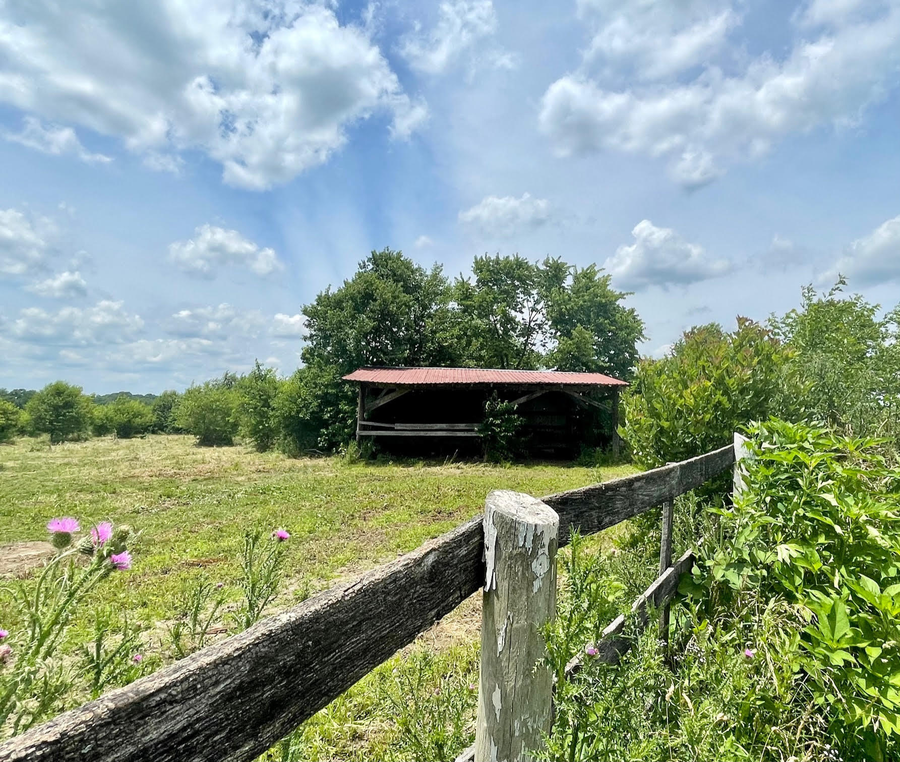 246 Redmon Road Paris, KY 40361 - Photo 10 of 29 red4