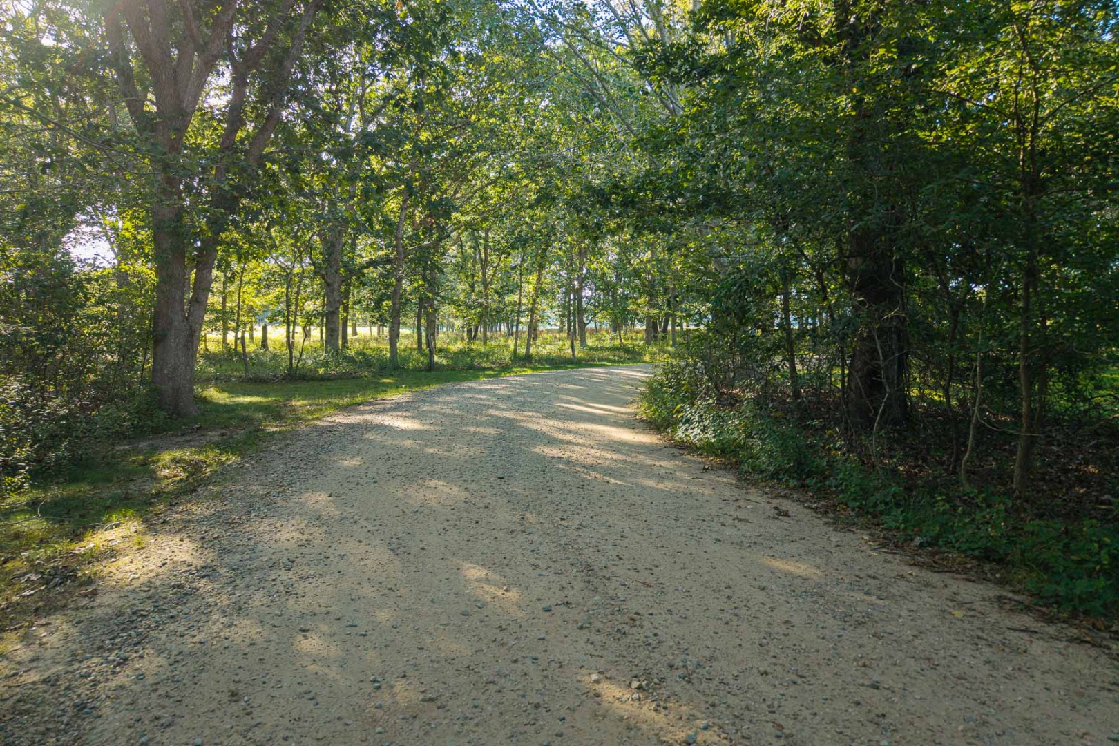 49 Cobbs Hill Road Chilmark, MA 02535 - Photo 2 of 9 Gallery Image 2
