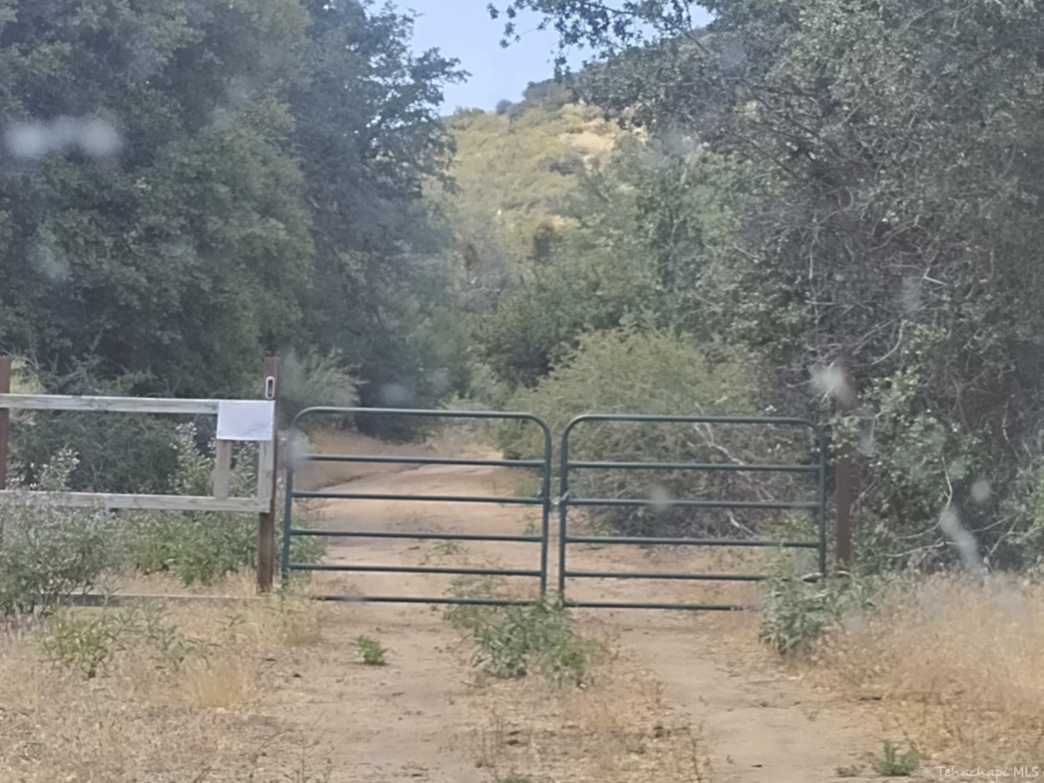 0 Pine Spring Road Caliente, CA 93518 - Photo 8 of 34 Gallery Image 8
