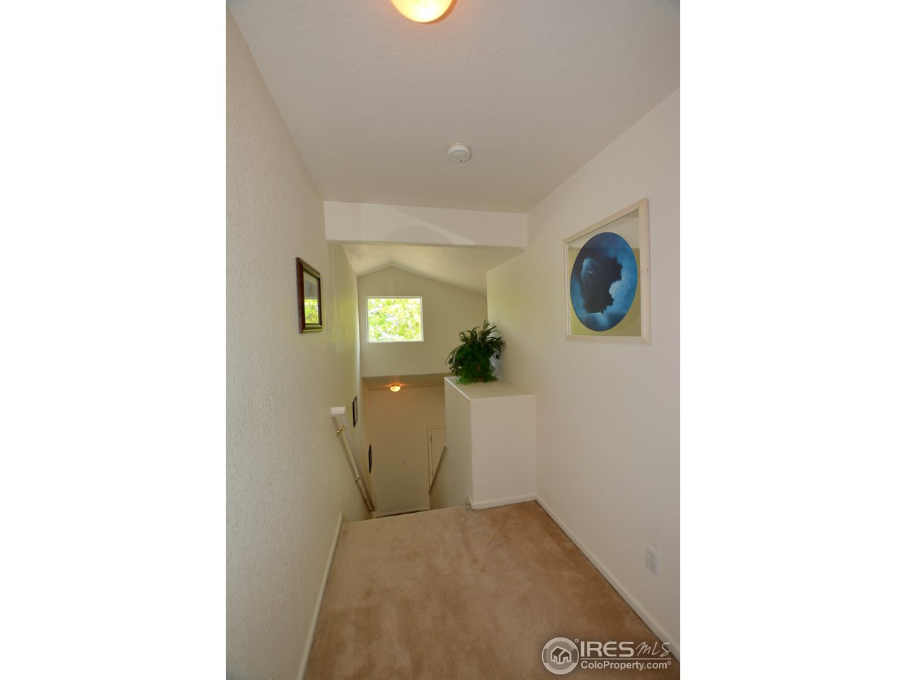 1341 Trail Ridge Road Longmont, CO 80504 - Photo 16 of 24 Upstairs Hall