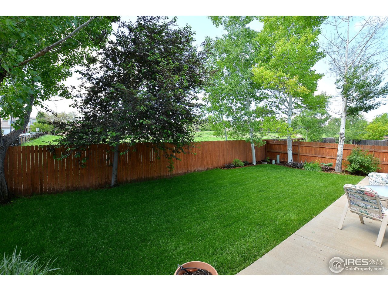 1341 Trail Ridge Road Longmont, CO 80504 - Photo 23 of 24 Fenced Backyard