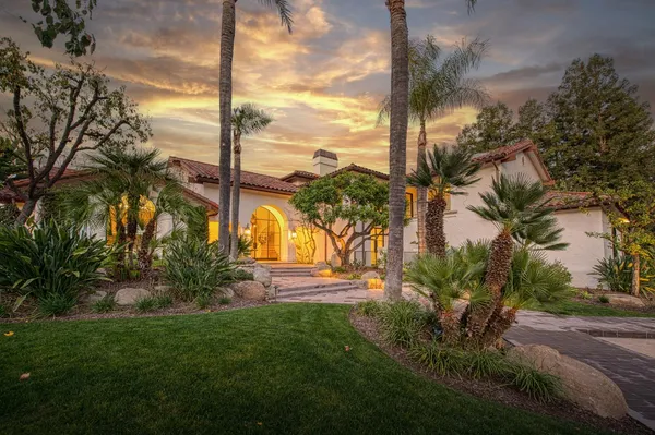 a view of a yard with palm tree