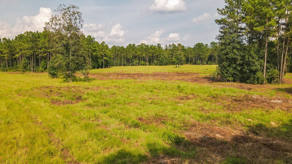 241 Voyager Road Salley, SC 29137 - Photo 26 of 31