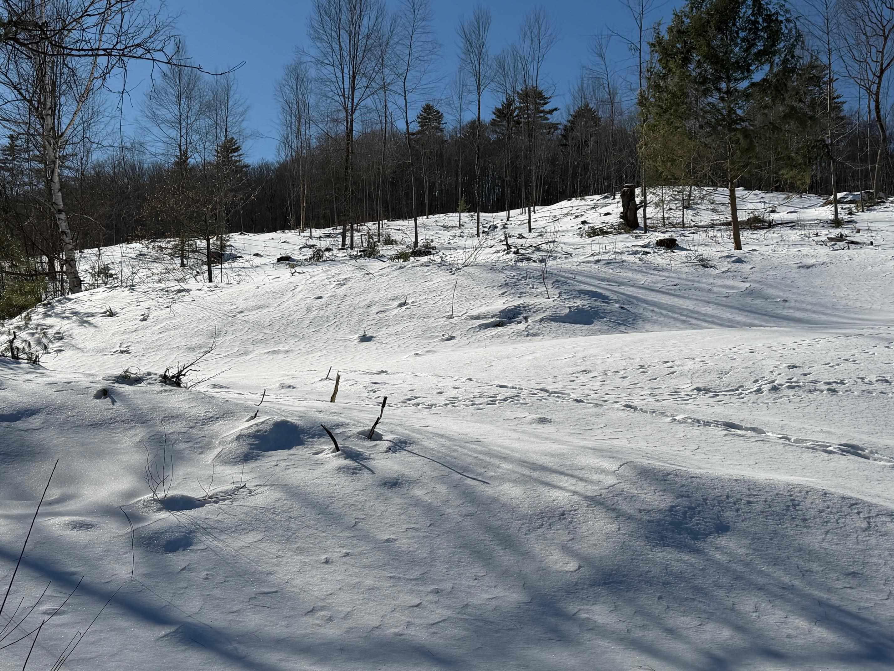 0 Concord Road, Unit U0601A Northfield, NH 03276 - Photo 4 of 11