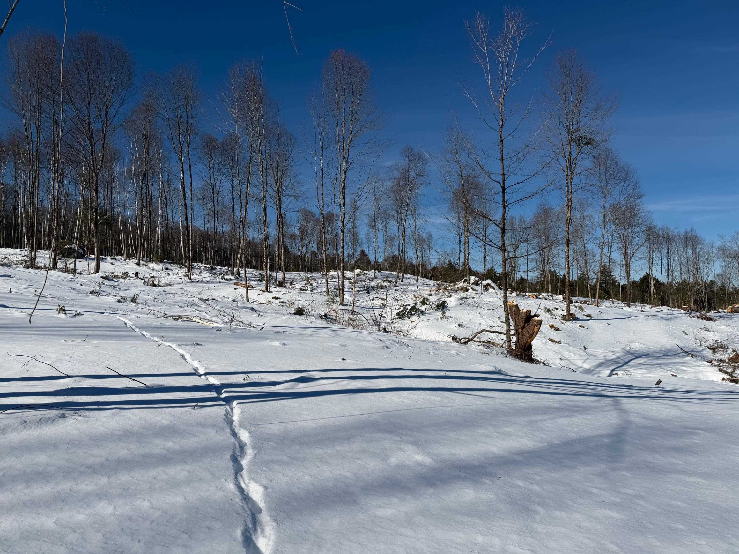 0 Concord Road, Unit U0601A Northfield, NH 03276 - Photo 6 of 11