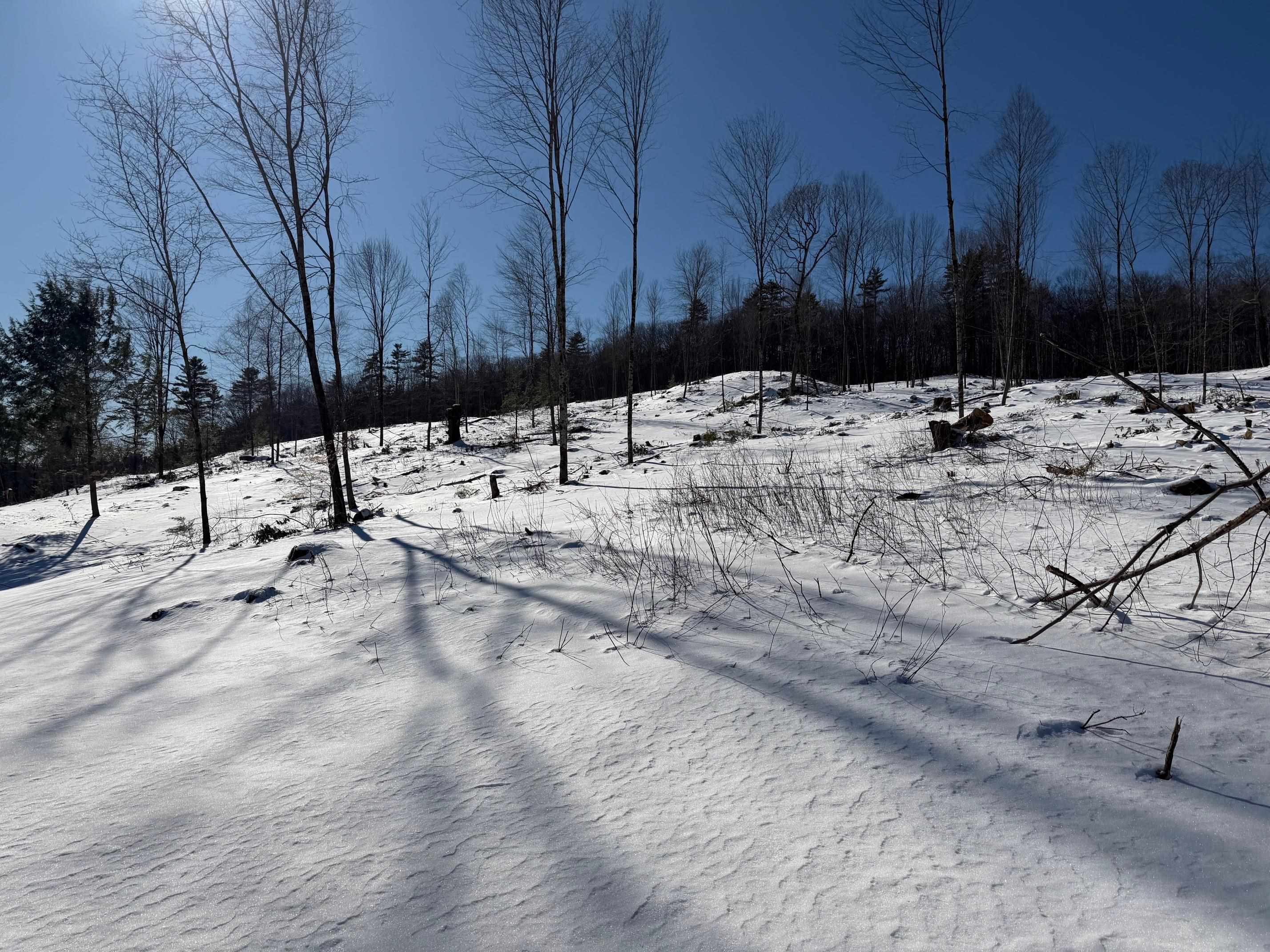 0 Concord Road, Unit U0601A Northfield, NH 03276 - Photo 7 of 11