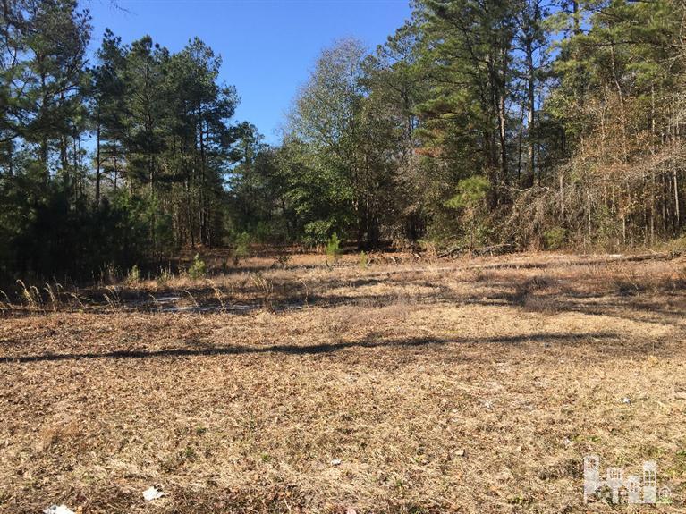 1 Lincoln Road Northeast Leland, NC 28451 - Photo 1 of 1 Primary Photo