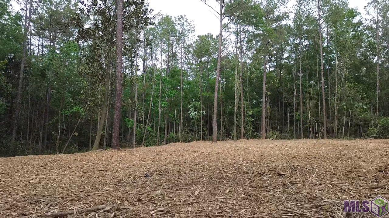83166 Isabel Swamp Road Bush, LA 70431 - Photo 7 of 20